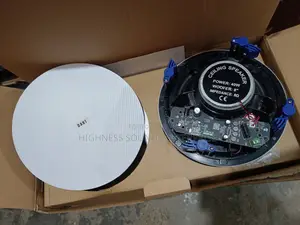 40W 2-in-1 Bluetooth Ceiling Speaker (Brand New)