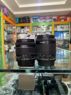 Canon EF-S 18-55mm f/3.5-5.6 IS STM Kit Lens
