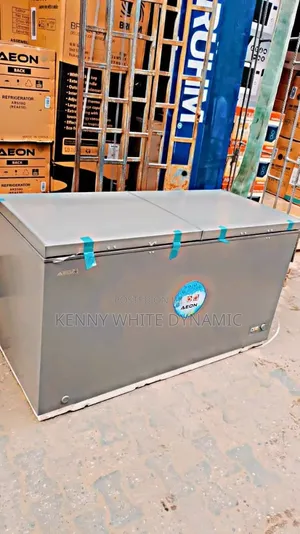 Aeon Freezer Mai Kofofi Biyu 450GK - Sabo