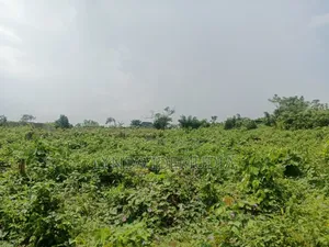 Filin busasshi don Siyarwa a Imota, Ikorodu, Legas