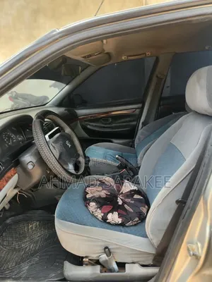 Peugeot 406 2004 Silver