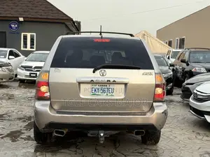 Acura MDX Touring Package 2004 Zinariya