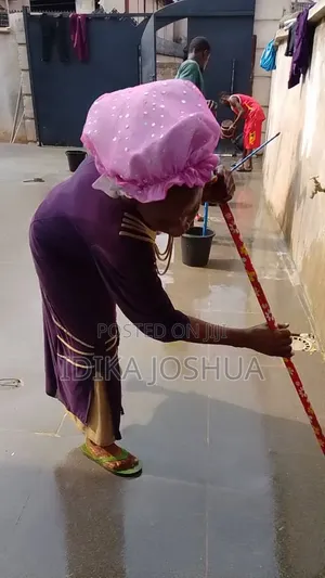 Professional Cleaning Services in Nnewi