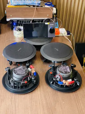 4-in-1 Black Face Ceiling Speakers tare da Alexa In-Wall Amplifier