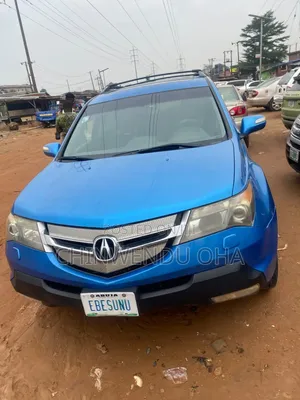 Acura MDX 2009 Shuɗi