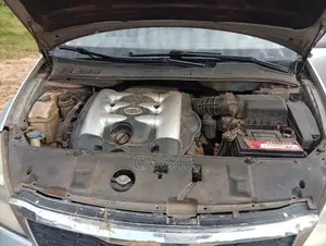 Kia Sedona 2010 Silver