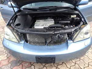 Lexus RX 330 2006 Blue
