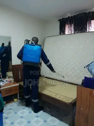 Effective Fumigation Services - Bedbugs, Termites, Rodents