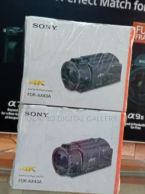 Sony FDR-AX43A 4K Camcorder