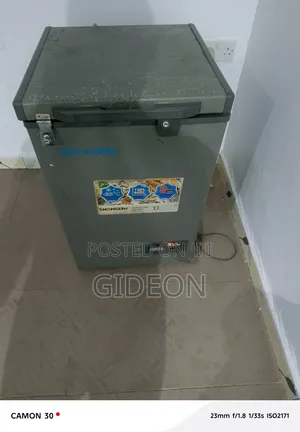 Snowsea Chest Deep Freezer 94L Na Kadan Amfani
