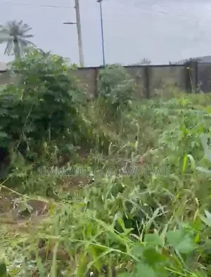 Filaye 3 na Ƙasa don Siyarwa a Y-Junction Ompadec, Igwuruta