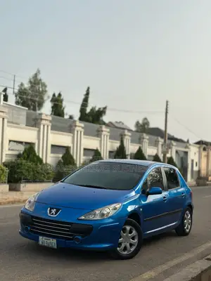 Peugeot 307 2005 Blue