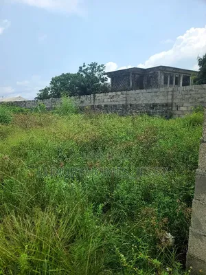 Filin Dama Don Siyarwa a Titin Coastal, Sangotedo (600sqm)