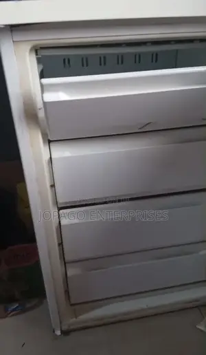 Privilege Mini Freezer - Neatly Used