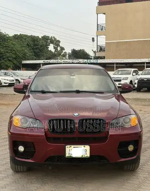 2013 BMW X6 Twin Power Turbo
