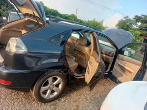 Lexus RX 330 2005 Grey