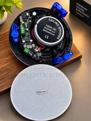 2-in-1 Bluetooth Ceiling Speaker 30W