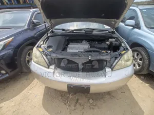 2005 Lexus RX Silver