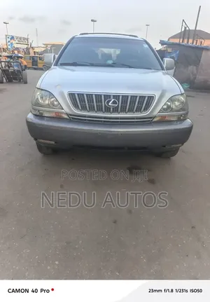 Lexus RX300 2002 Silver