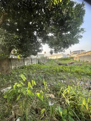 Filin 800sqm Mai Ganuwa da Get, Busasshi, C of O, Ajah
