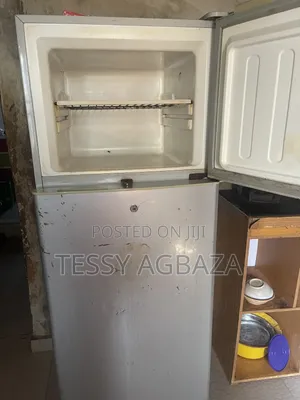 Skyrun Deep Freezer & Thermocool Standing Fridge