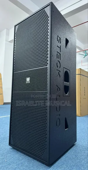 Powerful Steck Audio Double Speakers
