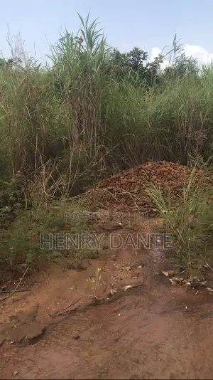 Filin Mallaka 100x50ft na Kasuwanci da Zama don Siyarwa, Anambra