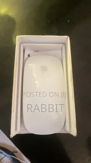 Apple Magic Mouse (An Yi Amfani Da Shi)