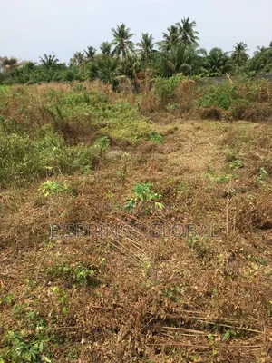 Akar 2 na Filin Kasa Mai Keringa don Siyarwa a Cikin Ci gaban Badagry, Lagos
