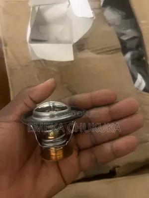 Thermostat for Ford Edge/Explorer 3.5L (2011-2013)