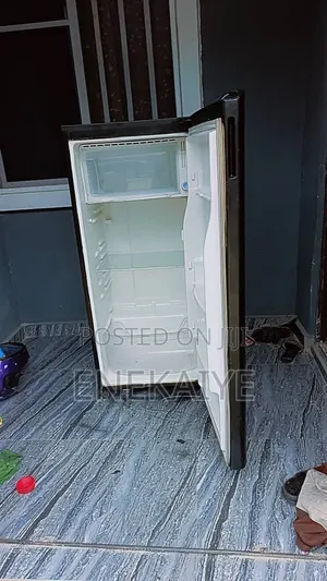 Samsung 174L Firijin Sanyi - Amfani