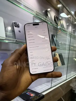 Apple iPhone 15 Pro Max 256GB Silver