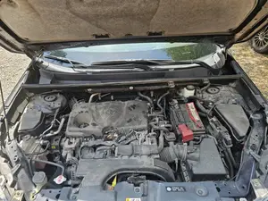 Toyota RAV4 XLE 2021 Blue