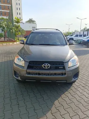 Toyota RAV4 2010 Gray