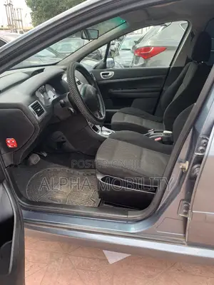 Peugeot 307 2008 Gray