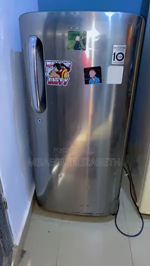 LG Smart Inverter Fridge