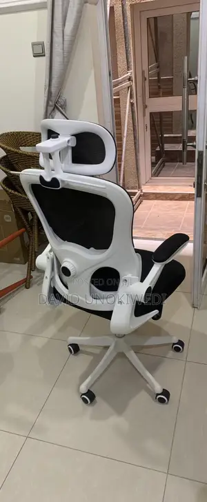 Ergonomic Office Chair - Used