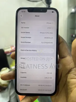Apple iPhone 12 Pro Max 256GB Blue
