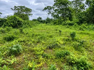 2 Filaye na Gidan Zama don Siyarwa, Amuloko Ibadan