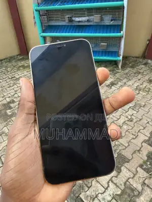 Apple iPhone 12 Pro Max 128GB Gold