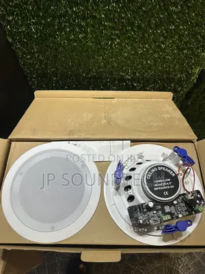 2-in-1 Frame Bluetooth Ceiling Speaker