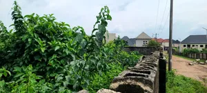 3 Plots na Ƙasa don Siyarwa a IBB Estate, Umuahia