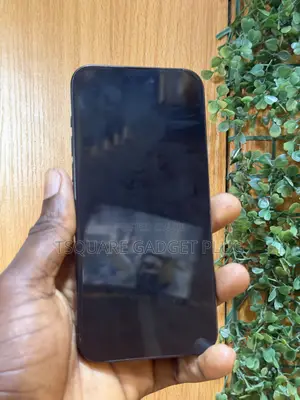 Apple iPhone 15 Pro Max 256GB Black