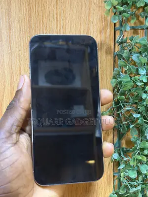 Apple iPhone 16 Pro Max 512GB Gray