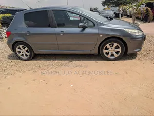 Peugeot 307 1.6 Premium 2008 Gray