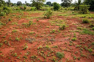10 Plots na Ƙasa don Siyarwa a Igwuruta Estate