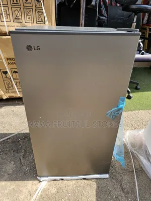 LG Firijin Dinci - 80L, Launin Ja