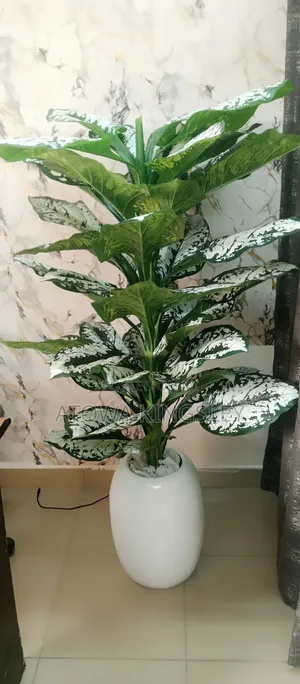 Home Interiors Zakarun Furen da Vase