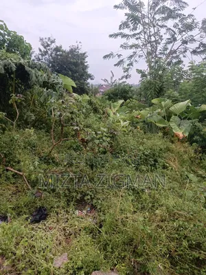 Residential Land for Sale - Akure