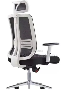 Mesh Office Chair with Headrest - Farin Fara